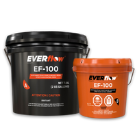 Everflow EF-100 | Kit de Piso de Resina Epóxi (3 gal)